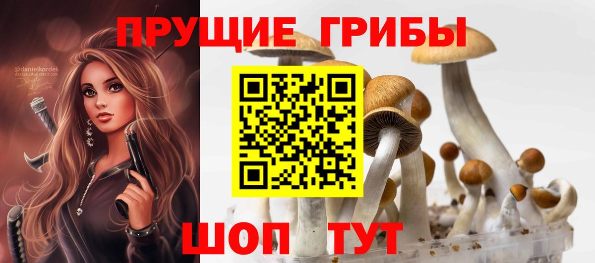 Галлюциногенные грибы Magic Shrooms  Вход с VPN  Кулебаки 